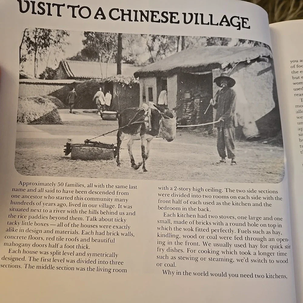 VTG 1975 Chinese Village Cookbook Rhoda Yee Verba‎ Buena Press SF Cantonese USA